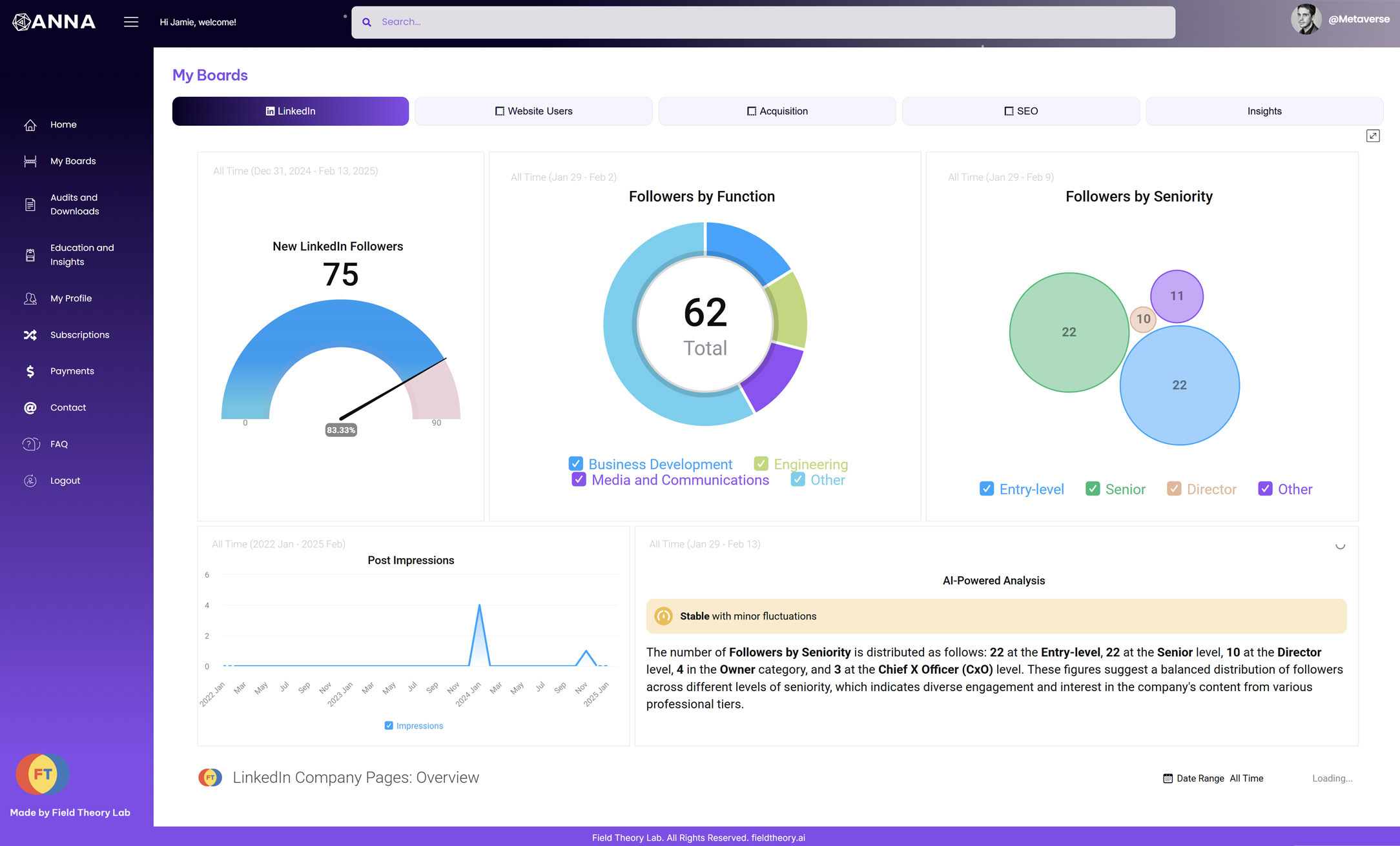 LinkedIn_dashboard_ANNA-Example
